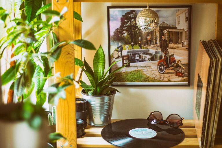 How to Refresh Your Home with Plants for a Natural Boost